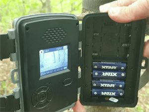 The Most Efficient Rechargeable Batteries for Trail Cameras